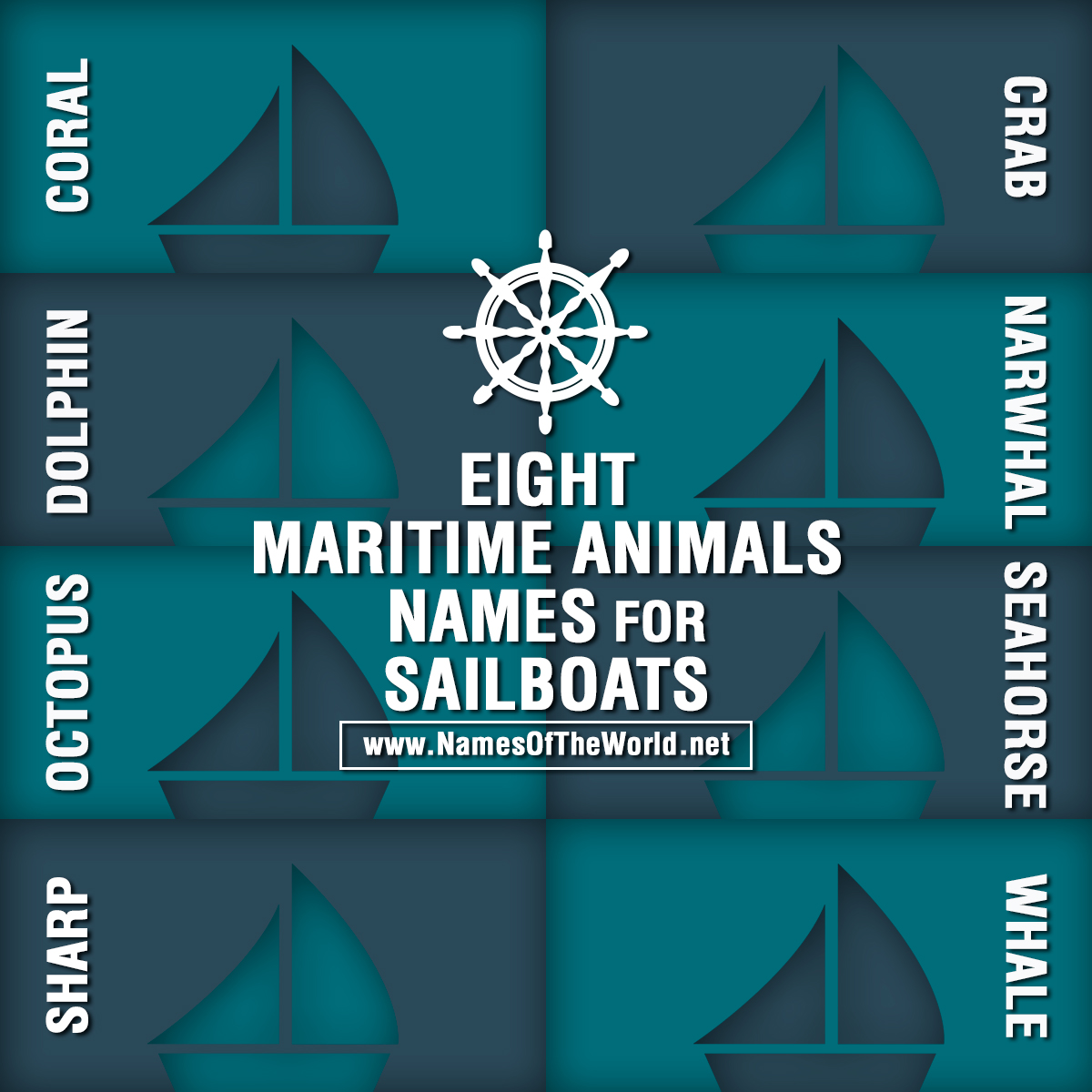 Eight maritime animal names for sailboats
